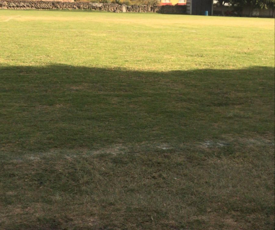 Césped amplio en área deportiva