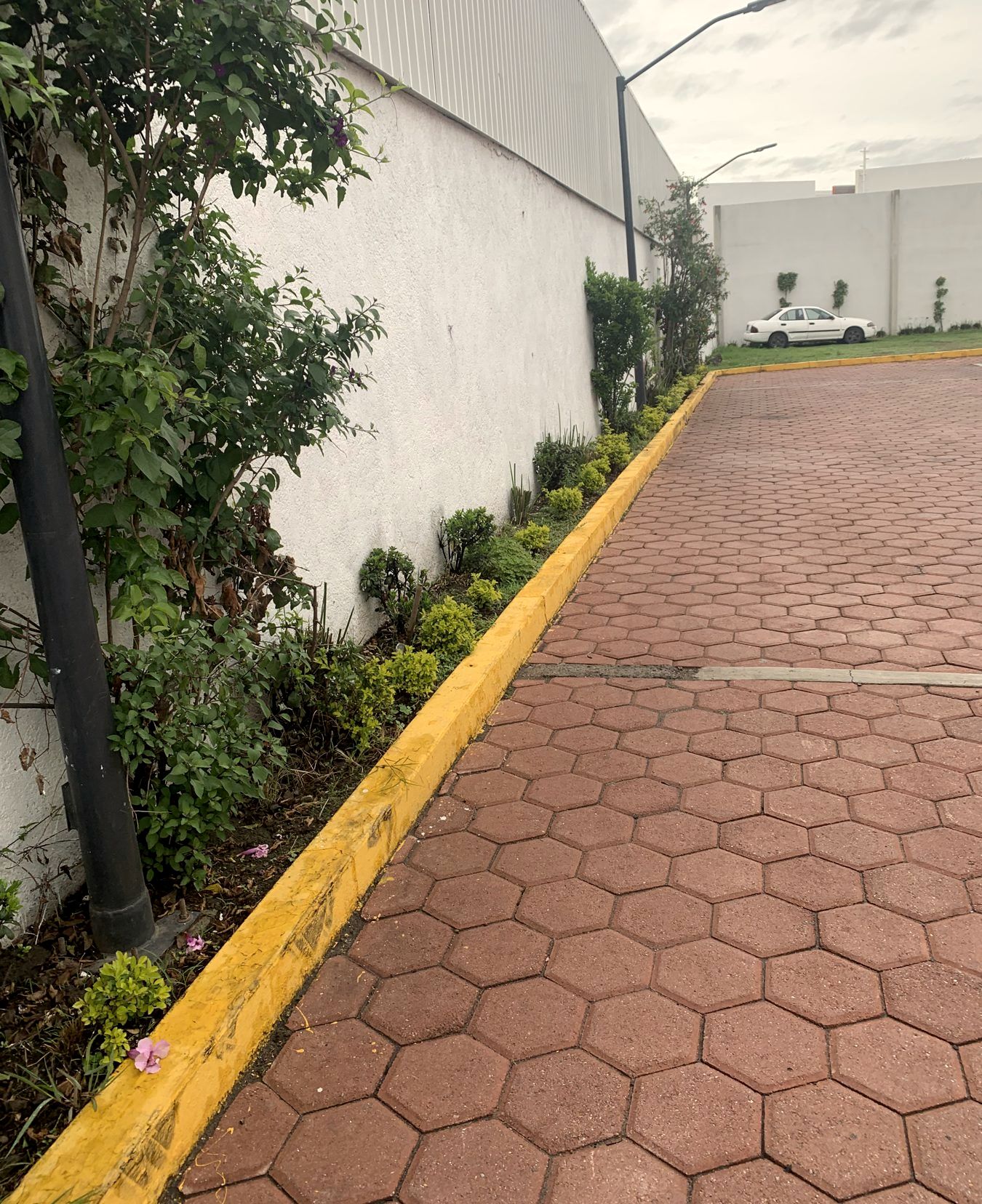 Jardinera lineal con flores